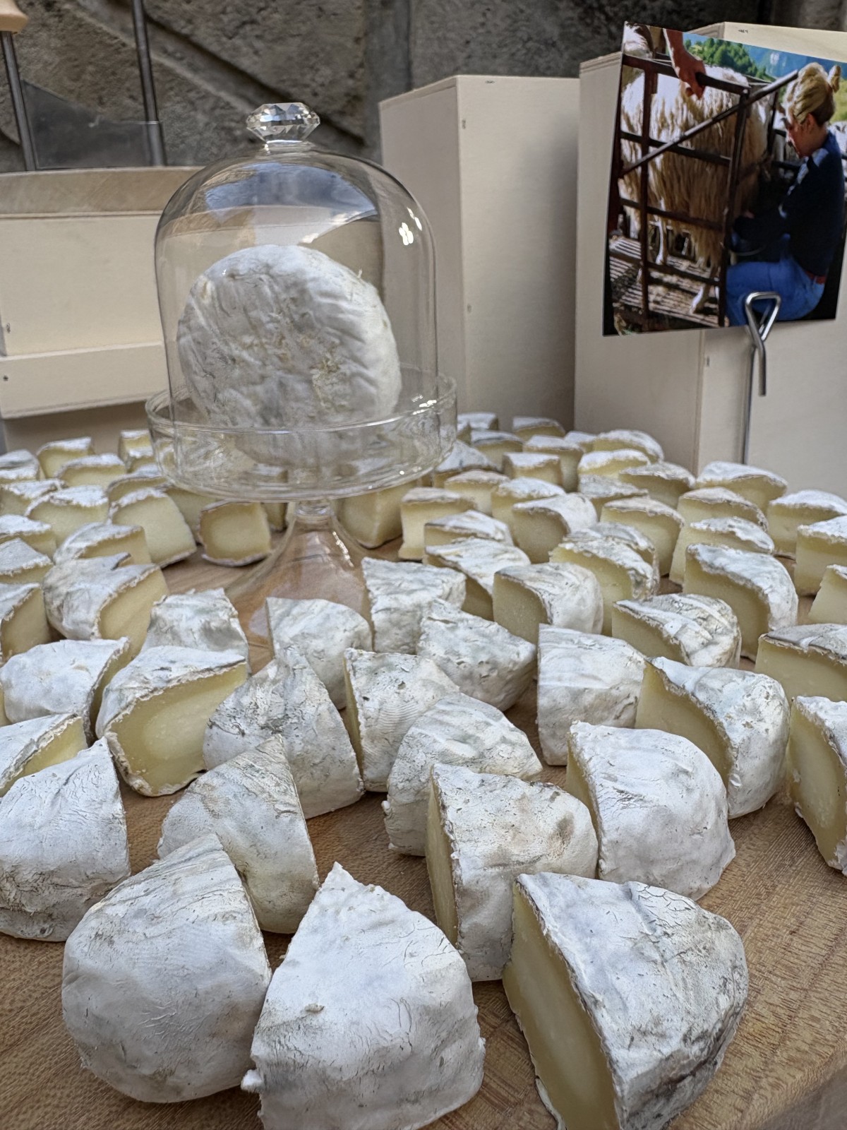 réserver un buffet de fromages à Montpellier 