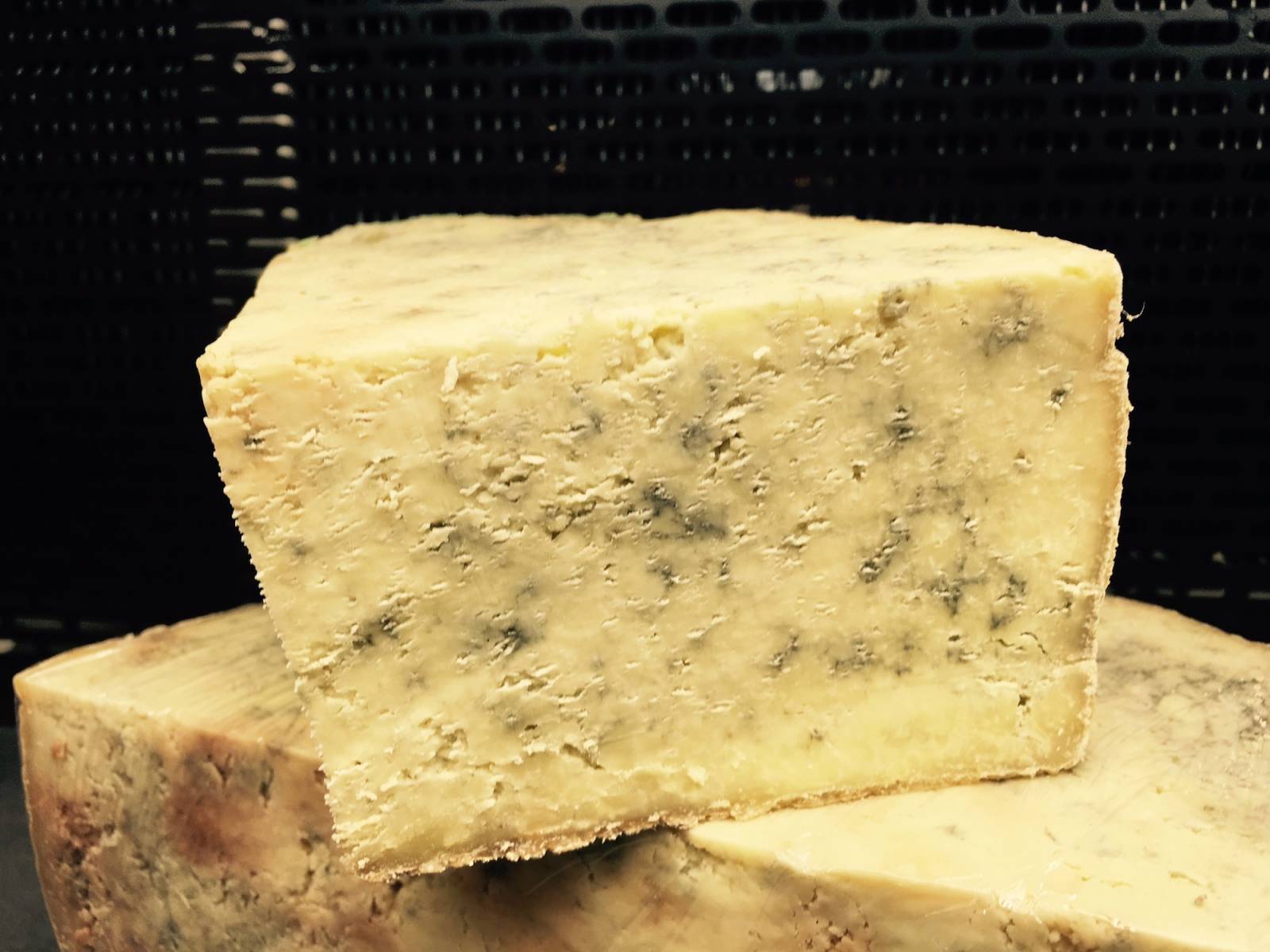 bleu de termignon à montpellier