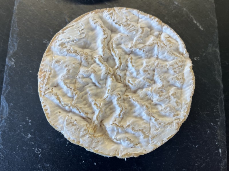 camembert de Normandie à Montpellier