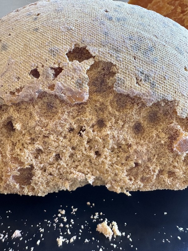 Fromages du Nord : acheter un large choix de maroilles, mimolette et autres, en centre ville de Montpellier