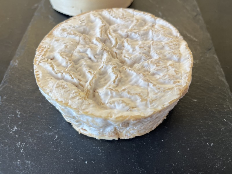 camembert de Normandie AOP sur Montpellier