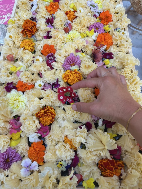 réserver un buffet de fromages à Montpellier 