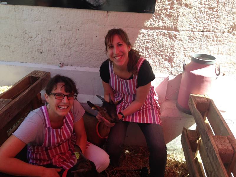 chèvres à Montpellier