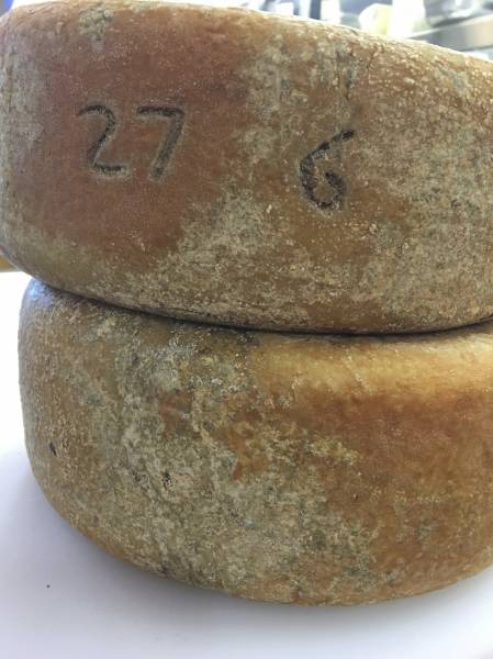 fromage d'estive de brebis vache à Montpellier