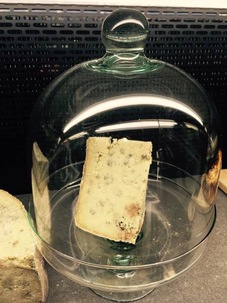 bleu termignon sous cloche montpellier 34