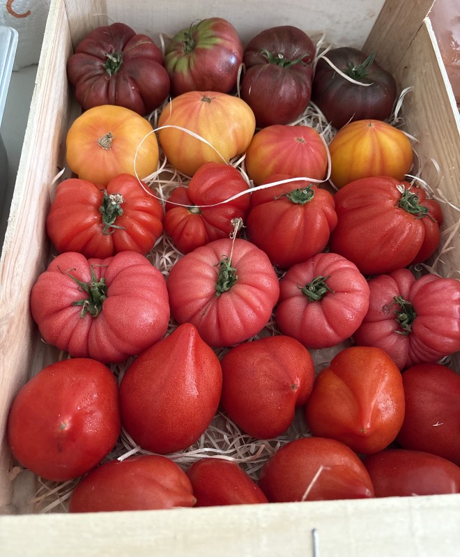 mozzarella di bufala campana Montpellier