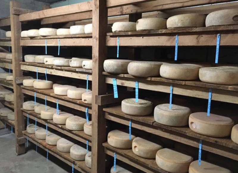 tomme bio Montpellier