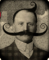 le bistrot urbain montpelier bistrot gastronomique