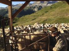 Nos prestations sur le secteur de à Montpellier quartier Beaux-Arts vers le centre-ville