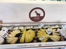 Nos prestations sur le secteur de à Montpellier quartier Les Arceaux au centre-ville